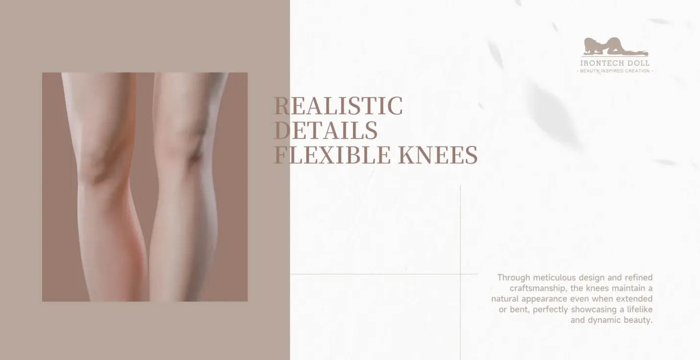 161cm product info 2